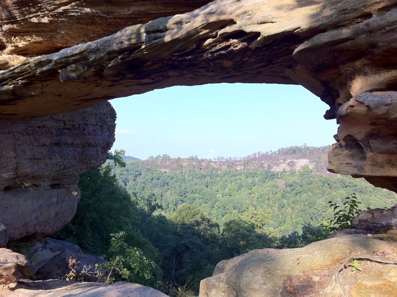 Auxier Ridge, a year after the fire